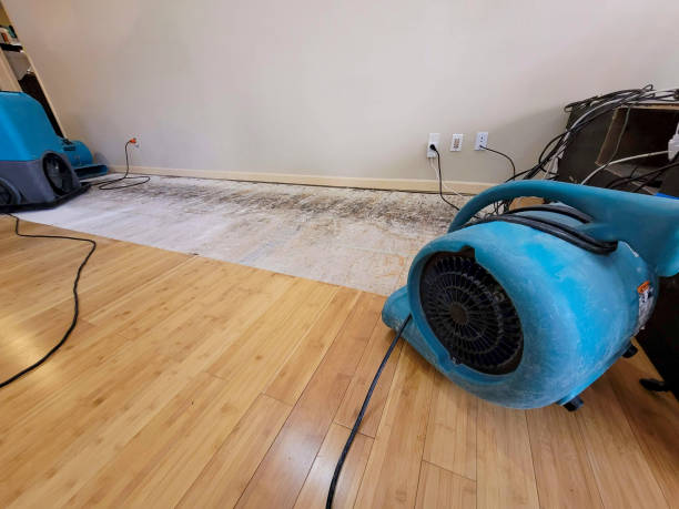 Professional Emergency Water Damage technician working in Mattawa, WA
